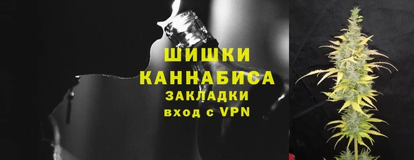 ГАЛЛЮЦИНОГЕННЫЕ ГРИБЫ Белокуриха