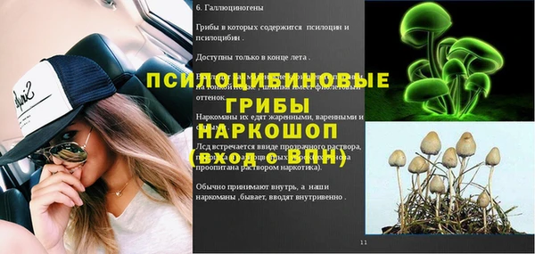 ГАЛЛЮЦИНОГЕННЫЕ ГРИБЫ Белокуриха