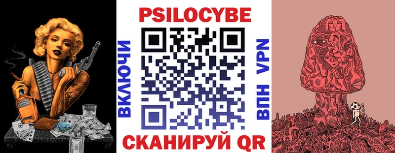 где можно купить наркотик  Светогорск  Псилоцибиновые грибы мицелий 